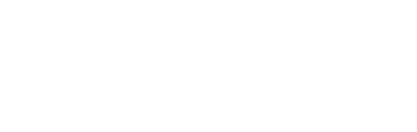 SKYTECH